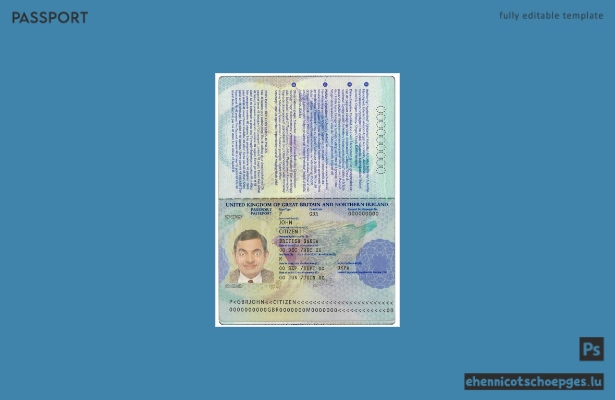 Britischer Reisepass im PSD-Format, vollständig bearbeitbar, Beispielvorschau 2006–2010